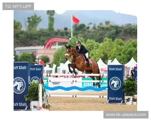 TOK体育全景解析：赛事动态与运动健身全面指南